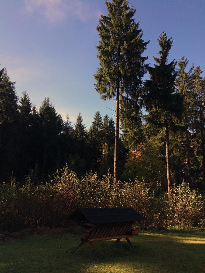 HT Chalets Harrachov Buitenkant foto