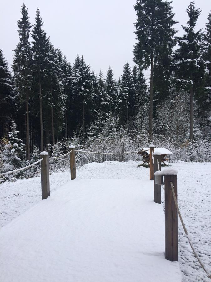 HT Chalets Harrachov Buitenkant foto