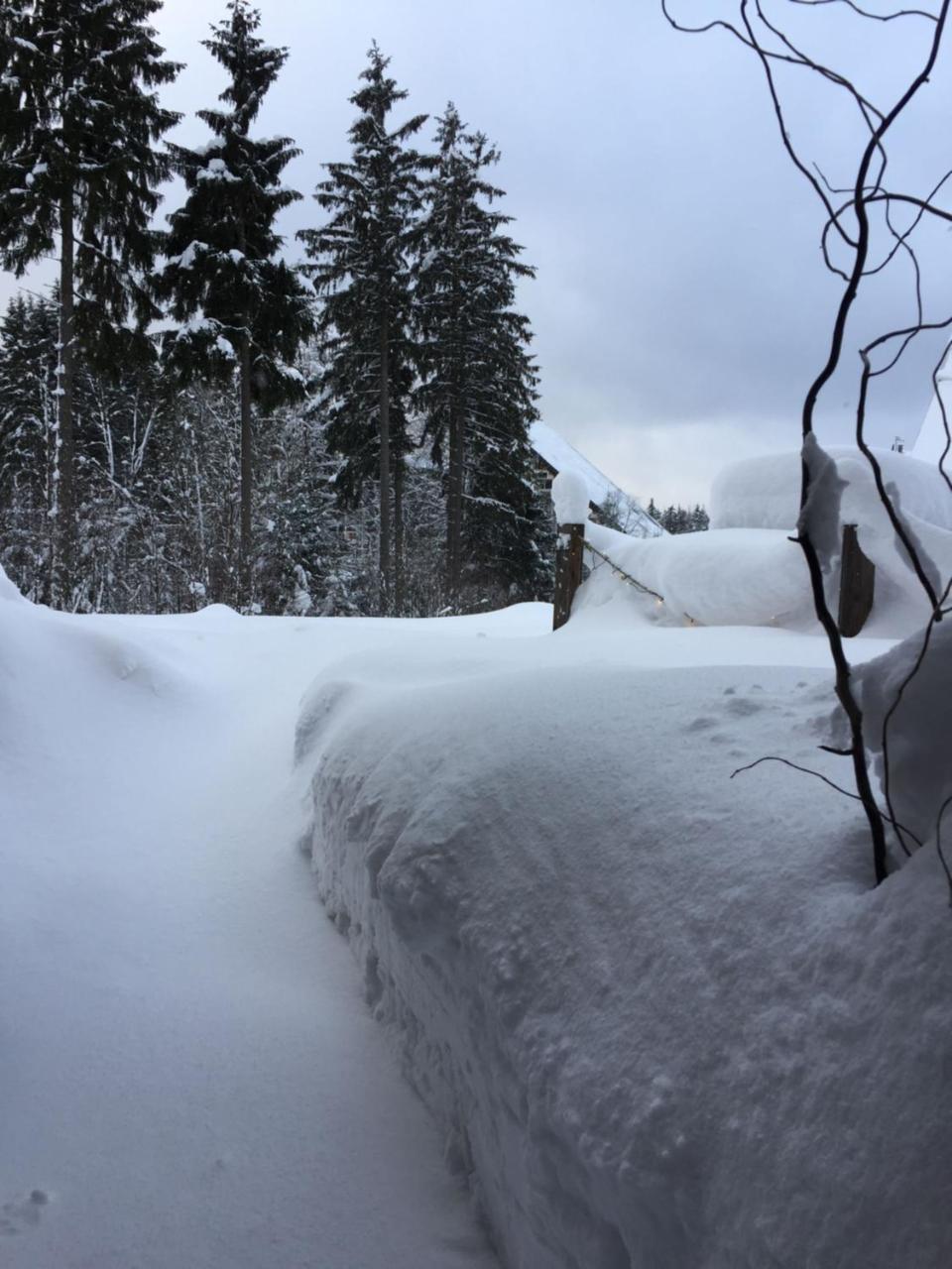 HT Chalets Harrachov Buitenkant foto